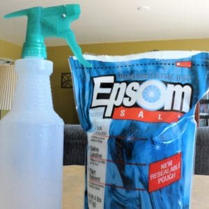 Using Epsom Salt as a Natural Fertilizer in the Garden