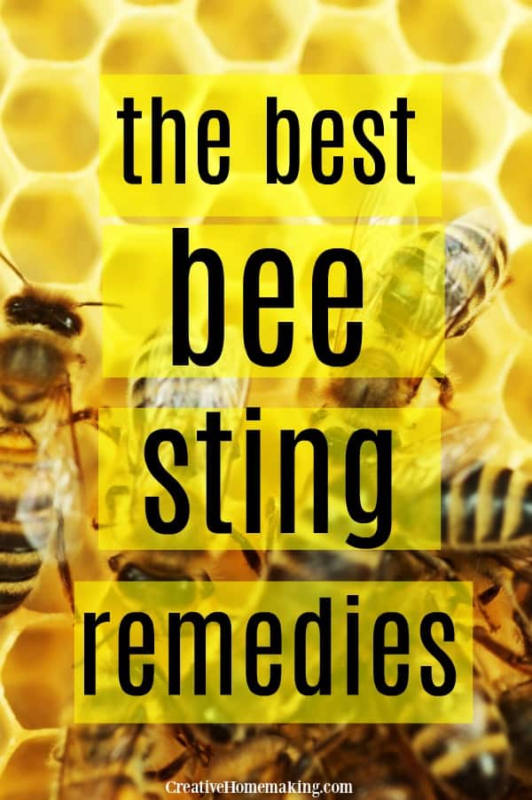 Easy DIY bee sting remedies to help reduce swelling FAST.