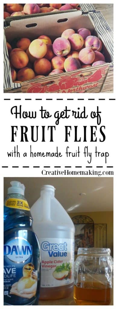 Tips for controlling and getting rid of fruit flies in your home with a homemade fruit fly trap.
