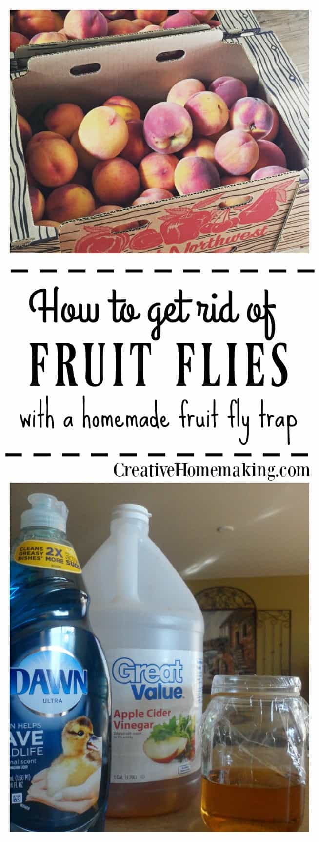 Apple Cider Vinegar Fly Trap An Effective Homemade Fruit Fly Trap