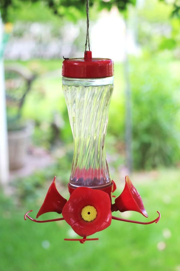 Easy homemade hummingbird food you can make to attract hummingbirds to your yard during the summer months.