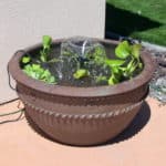 Step by step guide to building a pond in a container in less than in hour.