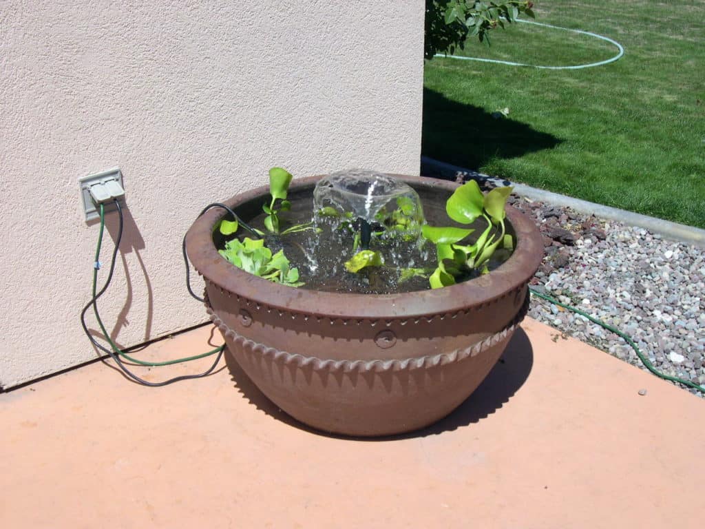 How to easily create a pond in a container on your patio in less than an hour.