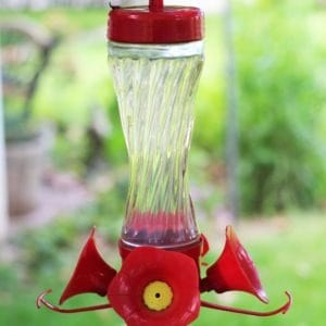 How to make your own hummingbird food to feed the hummingbirds in your garden.