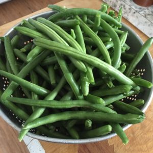 Canning green beans. How to can green beans from the garden. Step by step pressure canning for beginners.