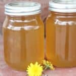 Easy recipe for canning homemade dandelion jelly. Tastes just like honey!