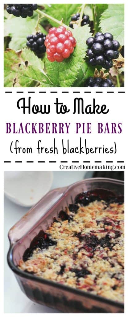These blackberry pie bars are an easy, delicious summer dessert to make from fresh blackberries.