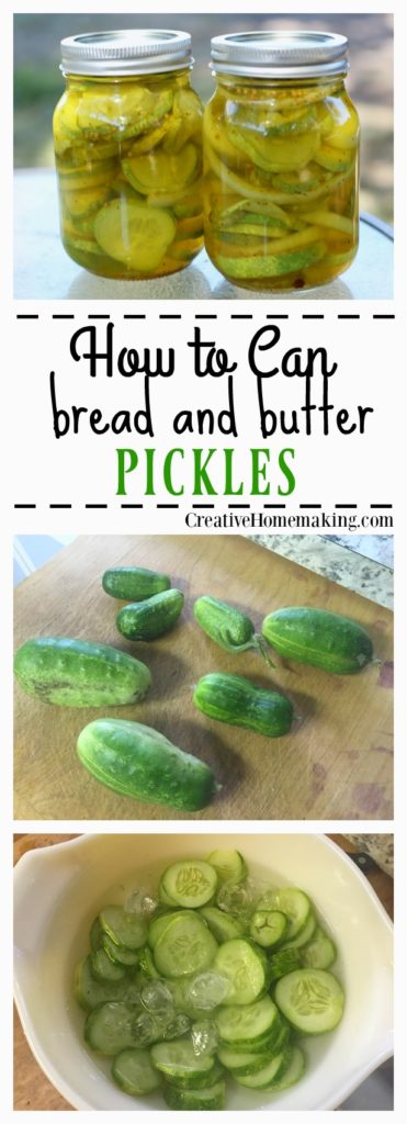 Canning bread and butter pickles. Step by step boiling water canning for beginners.