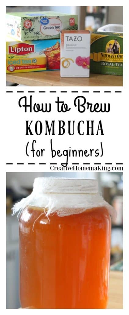 Brew your own kombucha at home! Easy kombucha recipe for beginners.