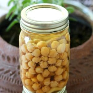 How to can garbanzo beans (chick peas) to make homemade hummus. Step by step pressure canning for beginners.