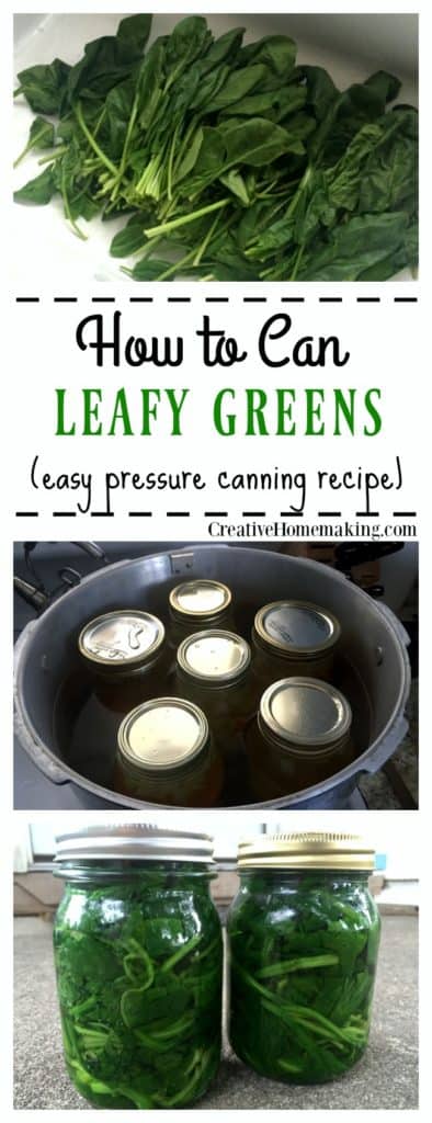 How to can leafy green vegetables from your garden. Step by step pressure canning for beginners.