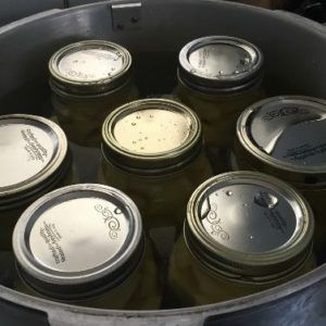 How to can potatoes from the garden. Step by step pressure canning for beginners.
