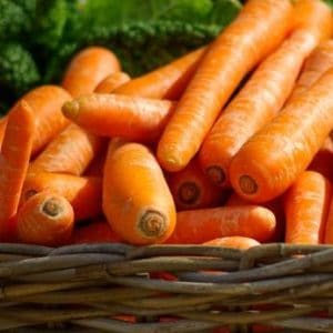 Canning mixed vegetables. Learn how to preserve your garden vegetables by canning this delicious combination of mixed vegetables. Pressure canning for beginners.