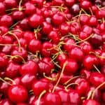 Easy recipe for making and canning homemade cherry pie filling from fresh pie cherries.