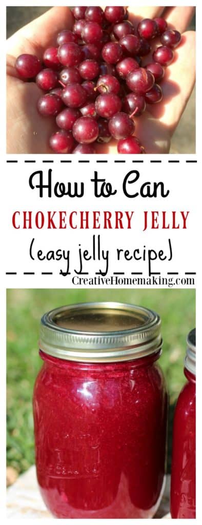 Easy recipe for canning old-fashioned homemade chokecherry jelly. Learn how to make jelly like a pro!