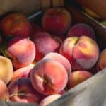 Freestone vs. clingstone peaches. Do you know which peaches are better for baking or canning?