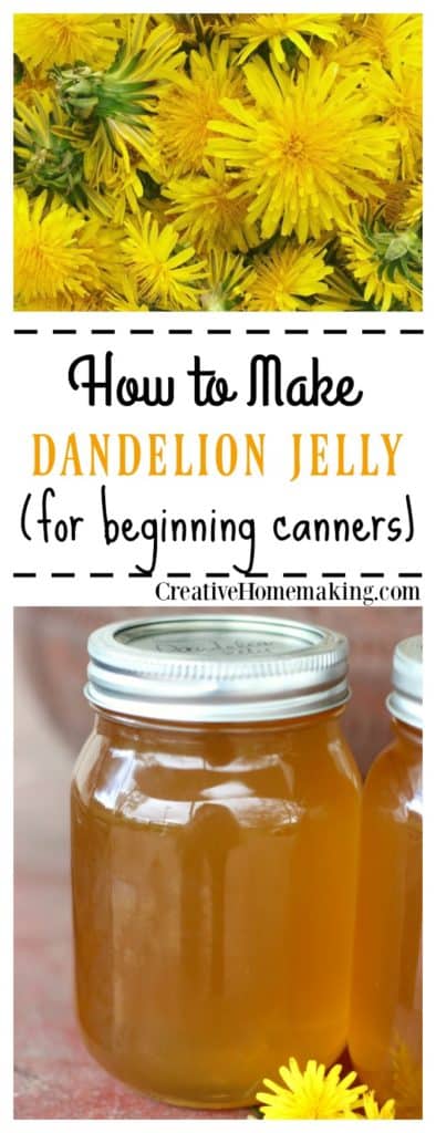 Easy recipe for canning homemade dandelion jelly. Tastes just like honey!