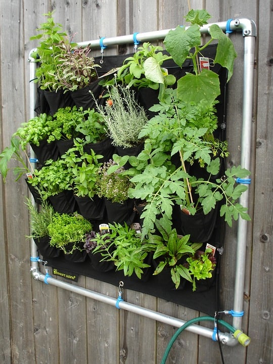 Easy DIY herb garden you can make from a shoe organizer.