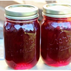 Canning elderberry peach jam. Elderberries and peaches are the perfect combination for a delicious summer jam. Step by step canning recipe for beginning canners.