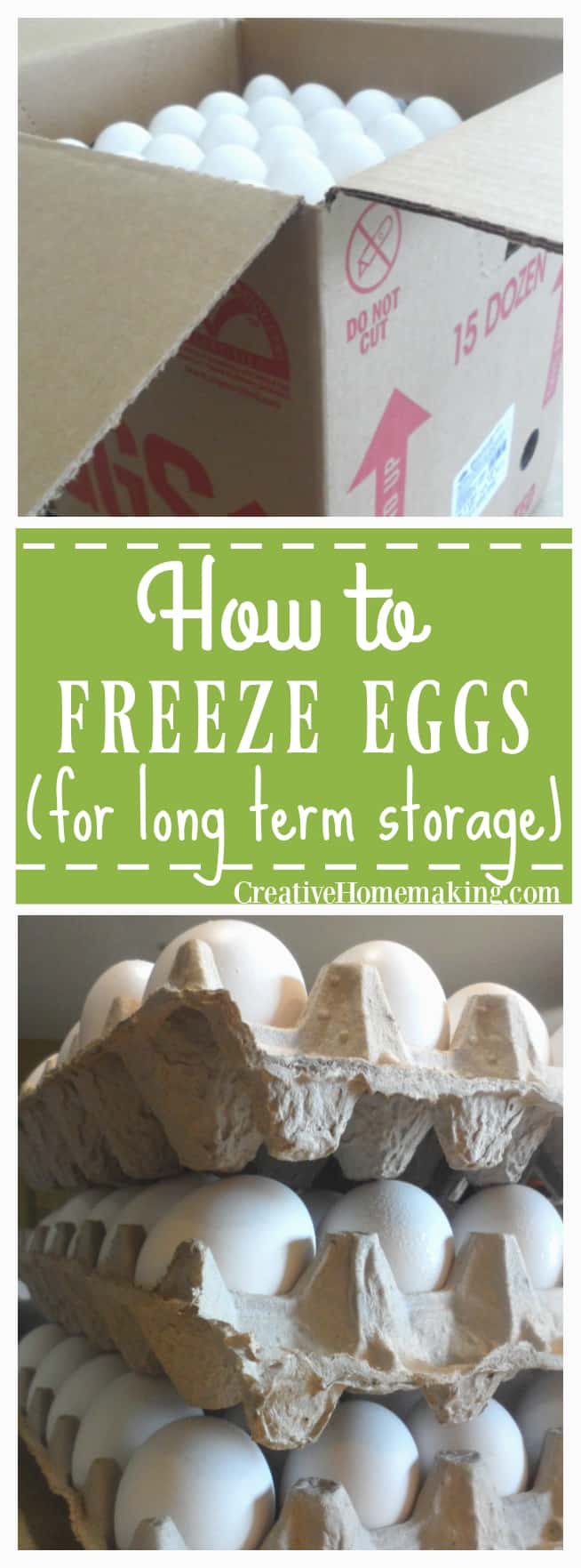 How to Freeze Eggs Creative Homemaking
