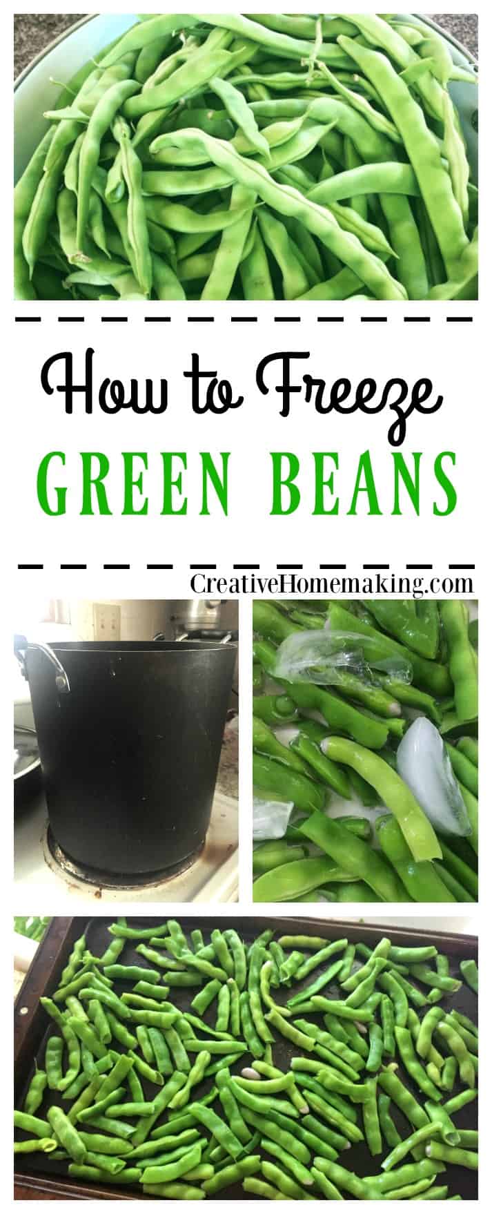 How to Freeze Green Beans Creative Homemaking