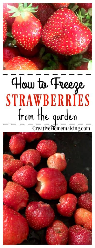 Easy tips for freezing extra strawberries from your garden.