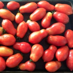 How to freeze whole tomatoes