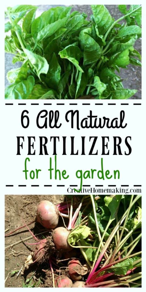 Tips for using household items like egg shells, coffee grounds, epsom salt, and grass clippings to make all natural homemade fertilizer for your garden.