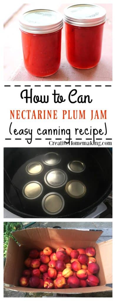 Canning Nectarine Plum Jam - Creative Homemaking