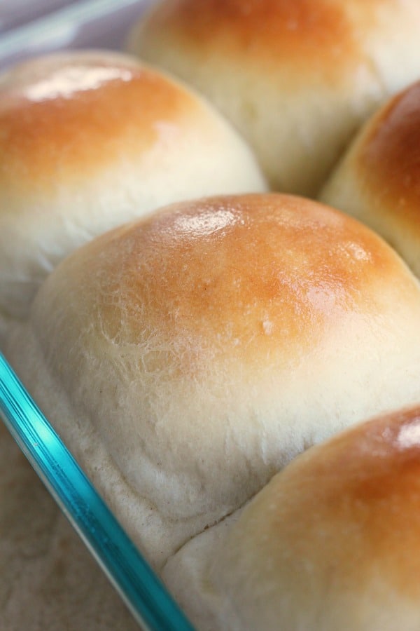 Easy recipe for one hour dinner rolls. One of my favorite quick and easy baking recipes!