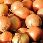 Canning pepper onion relish. This pepper onion relish is made from a combination of green and red bell peppers and onions. It is slightly sweet and would taste great on a sausage or hot dog.