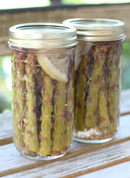 Pickled asparagus canning recipe