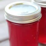 Easy recipe for canning plum jelly. Learn how to make jelly like a pro, just like grandma did.