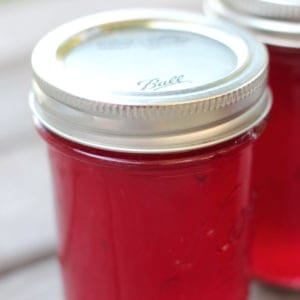 Easy recipe for canning plum jelly. Learn how to make jelly like a pro, just like grandma did.