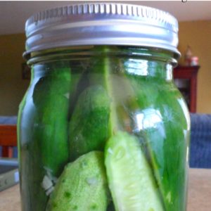 Homemade refrigerator dill pickles that taste just like Claussen dill pickles.