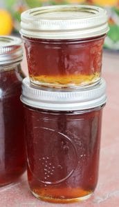 Rootbeer Jelly - Creative Homemaking