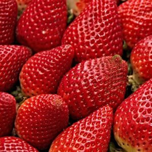 Strawberry Equivalents and Measures - Creative Homemaking