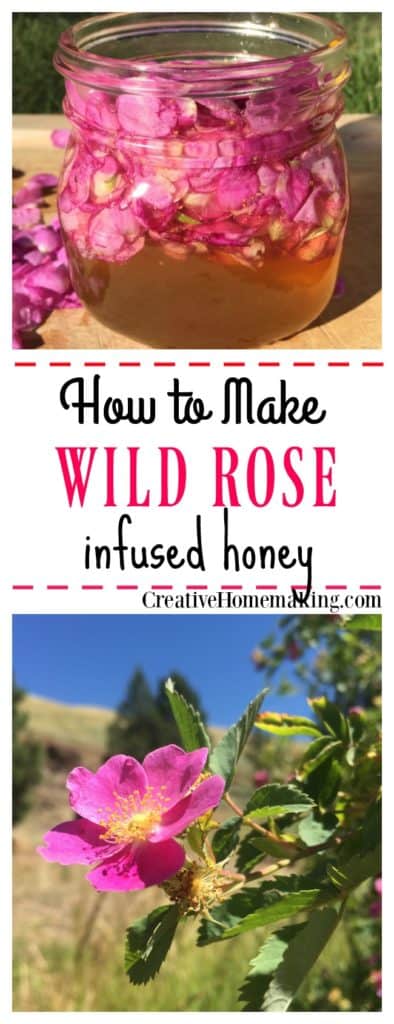 If you have an abundance of wild roses, try this easy wild rose infused honey recipe. Lightly flavored and scented, this gourmet honey makes a great gift idea for family and friends!
