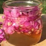 If you have an abundance of wild roses, try this easy wild rose infused honey recipe. Lightly flavored and scented, this gourmet honey makes a great gift idea for family and friends!