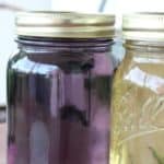 Easy recipe for canning lilac simple syrup for cocktails, flavored iced tea, flavoring kombucha, and more. Easy canning recipe for beginners.