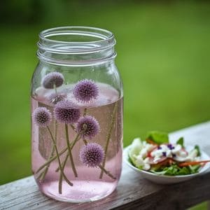 Clear purple chive blossom vinegar in a glass jar beside a light spring salad
