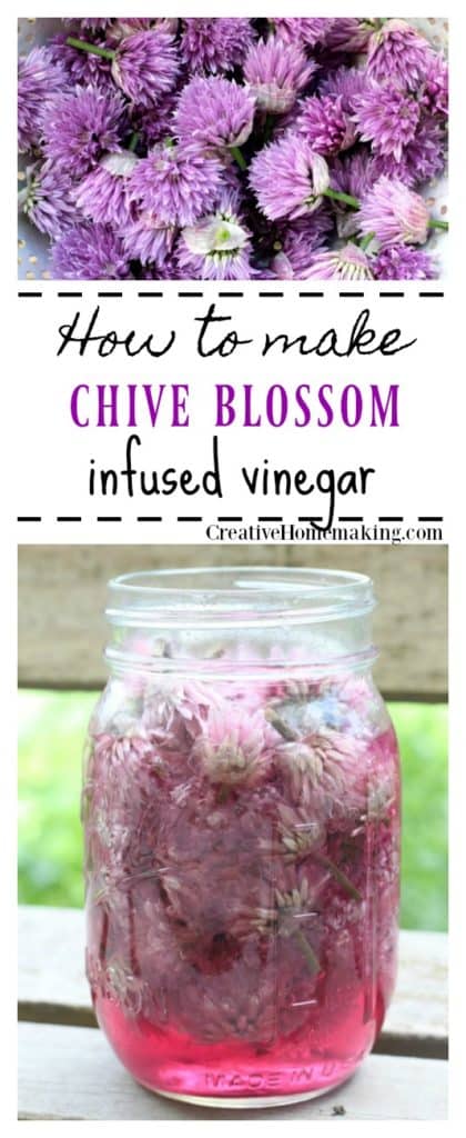 Easy recipe for chive blossom vinegar. This homemade infused vinegar has a wonderful chive flavor and is a pretty pink purple in color. Great for homemade salad dressings and marinades.