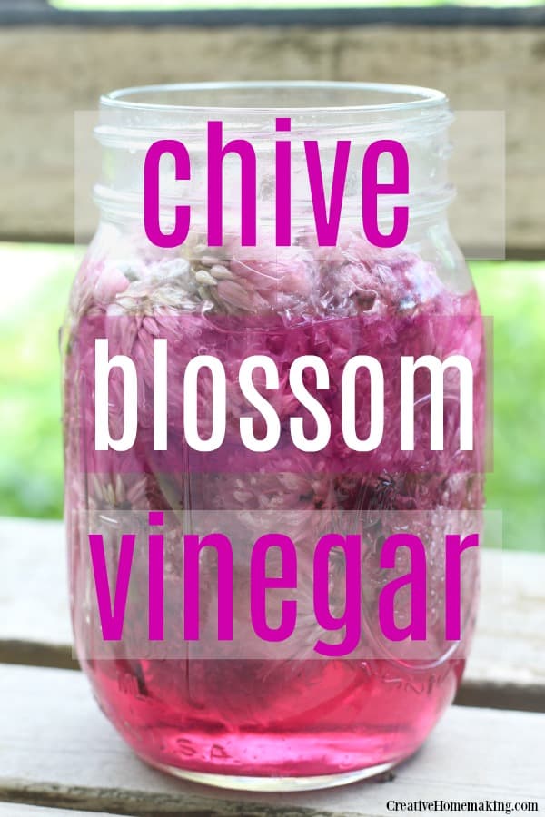 Easy recipe for making chive blossom vinegar. 