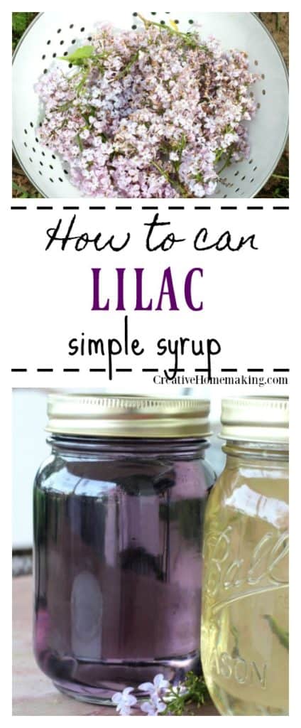 Easy recipe for canning lilac simple syrup for cocktails, flavored iced tea, flavoring kombucha, and more. Easy canning recipe for beginners.