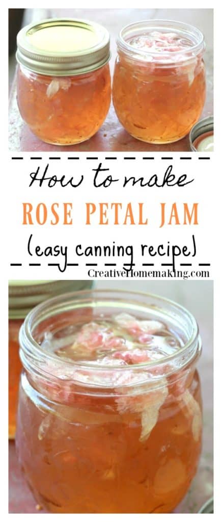 Easy recipe for canning rose petal jam. Learn how to make rose petal jam from wild roses.