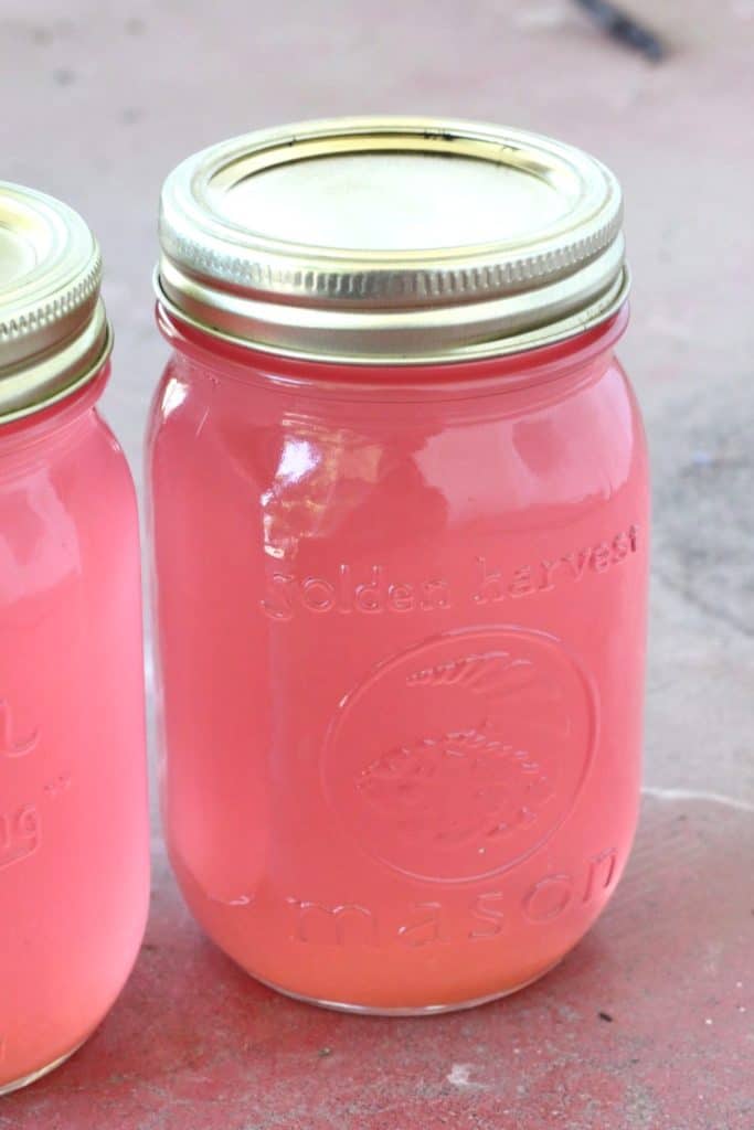 Easy rhubarb simple syrup recipe for canning or freezing. Easy recipe for beginning canners.