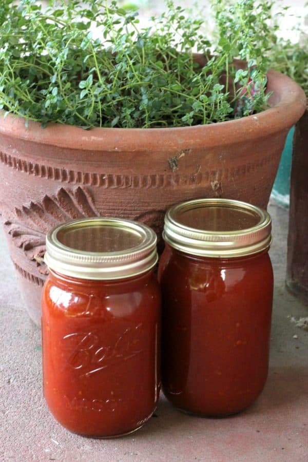 Recipe for the best apricot barbecue sauce. Easy recipe for beginning canners. This tangy barbecue sauce goes great with chicken and pork.