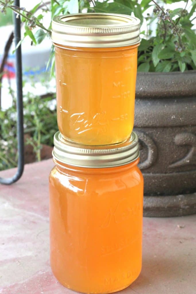 Apricot Jelly Canning Recipe Creative Homemaking