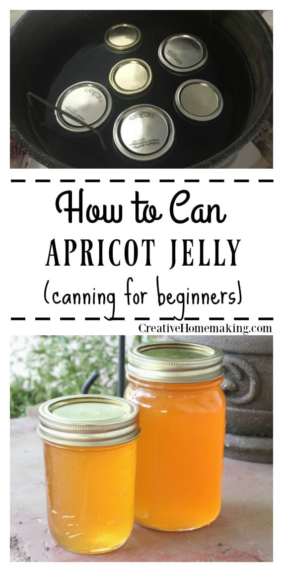 This apricot jelly is easy to make and a great alternative to apricot jam. Includes easy step by step canning instructions for beginning canners.