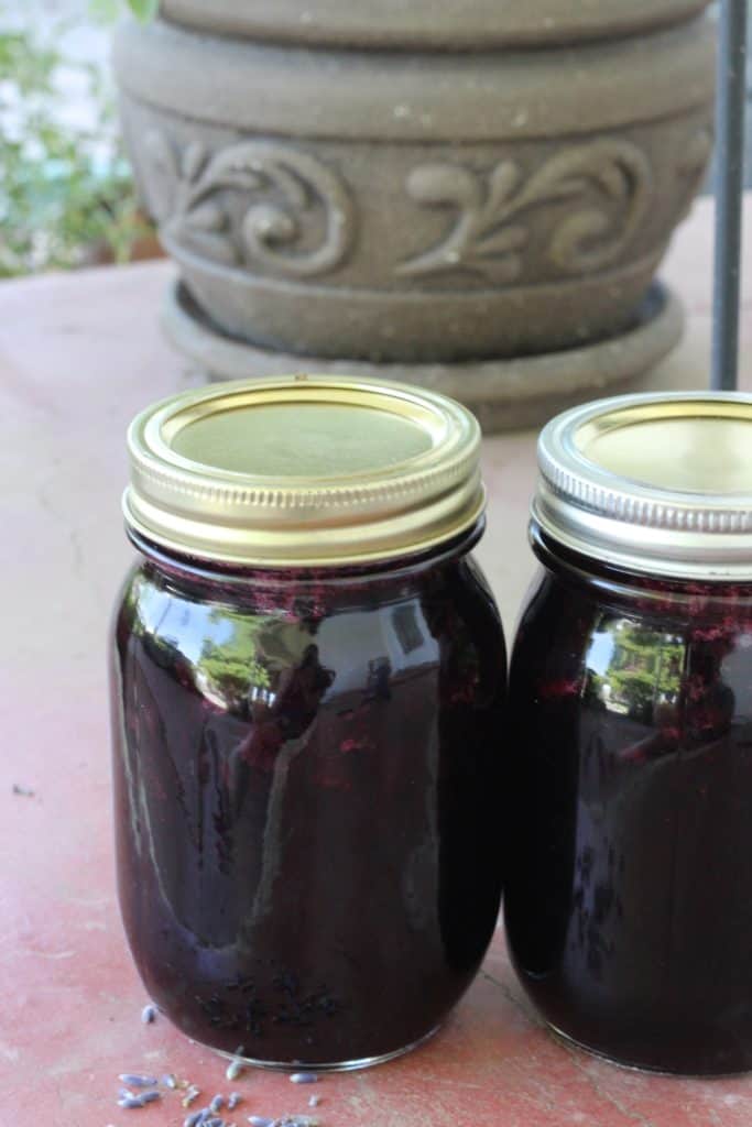 Easy recipe for canning blueberry lavender jam. Easy recipe for beginning canners. This recipe is the perfect blueberry jam with just a hint of lavender.